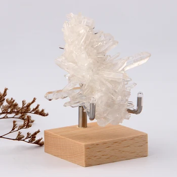 1 buc Reglabil Display Stand Braț de Metal Suport Pentru Fosile, Minerale, Pietre de Agat Geode Cristal Coral Piese de Colecție Decor