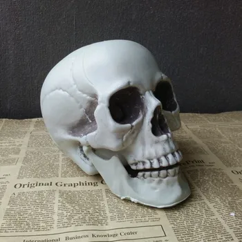 Medicale recuzită model de Viață Dimensiune Craniu Uman Model Anatomice Anatomie Medicale de Predare Cap de Schelet Studierea material Didactic